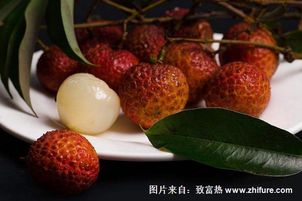 桂圓與荔枝的區別是什么