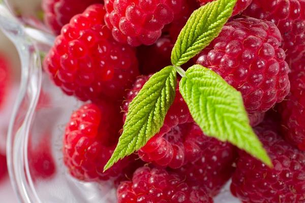 樹莓酮減肥有用嗎