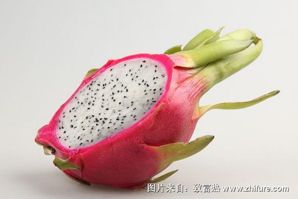 火龍果熱量是多少