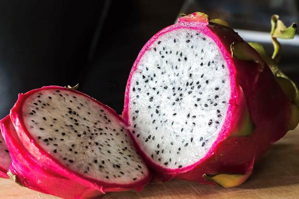 火龍果熱量是多少