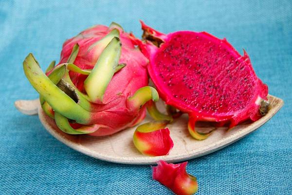 火龍果熱量是多少