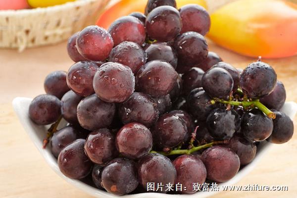 巨峰葡萄施肥技術