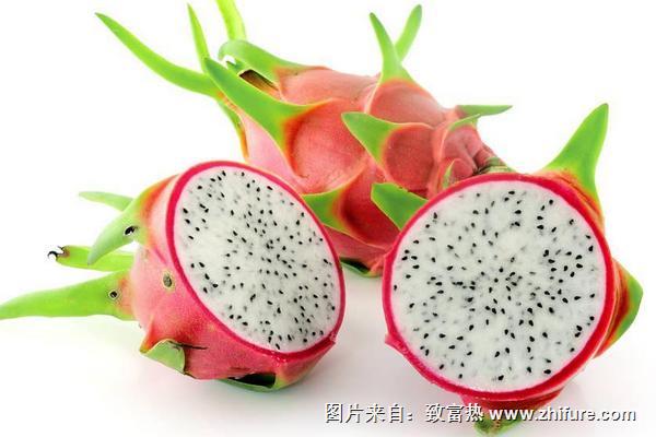 火龍果市場價格多少錢一斤