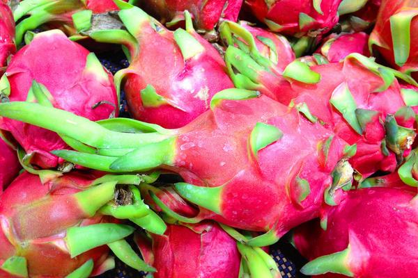 火龍果市場價格多少錢一斤