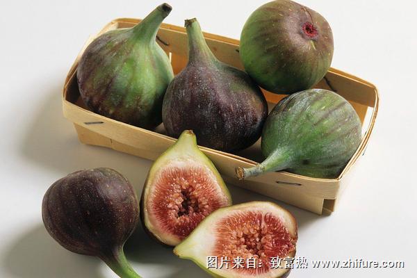 新鮮無花果怎么吃