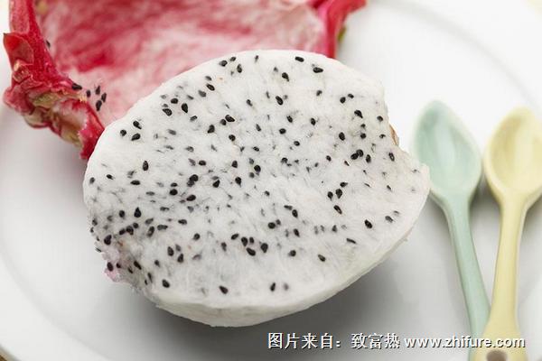 吃火龍果上火嗎