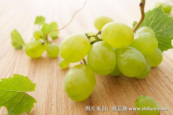 綠葡萄可以做葡萄酒嗎