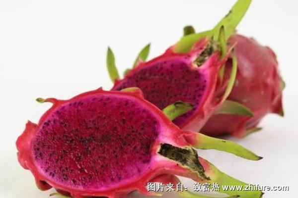 紅心火龍果的營養價值