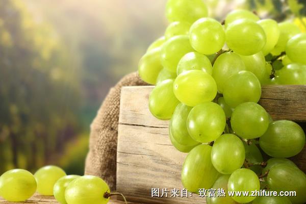 綠葡萄營養價值