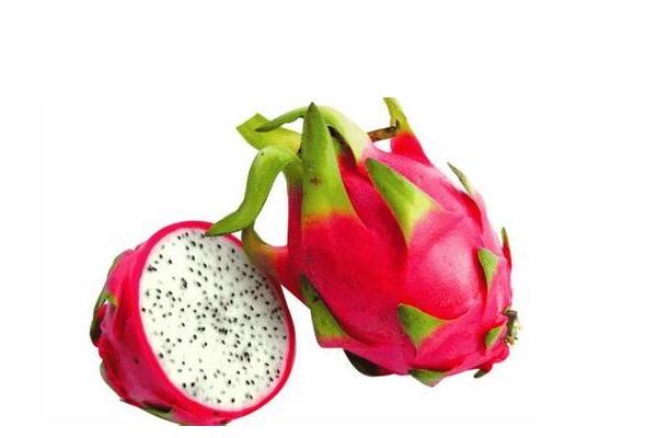 火龍果圖片大全