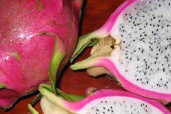 火龍果圖片大全