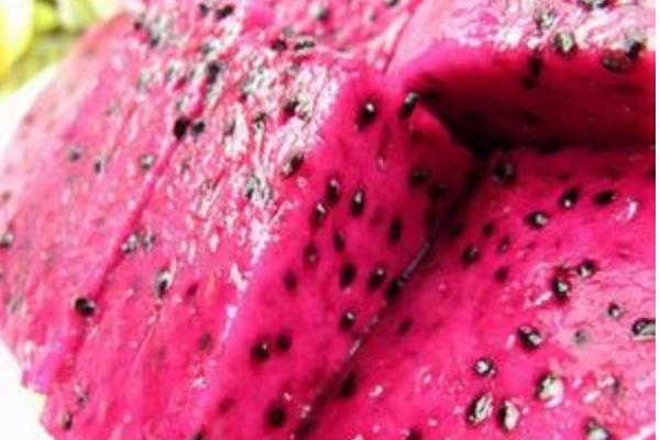 晚上吃火龍果好嗎