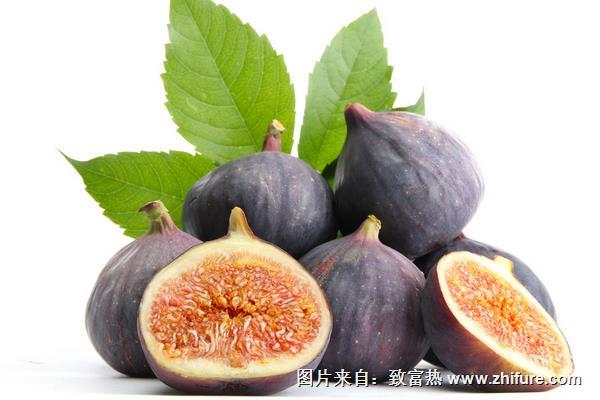 無(wú)花果能治痔瘡嗎