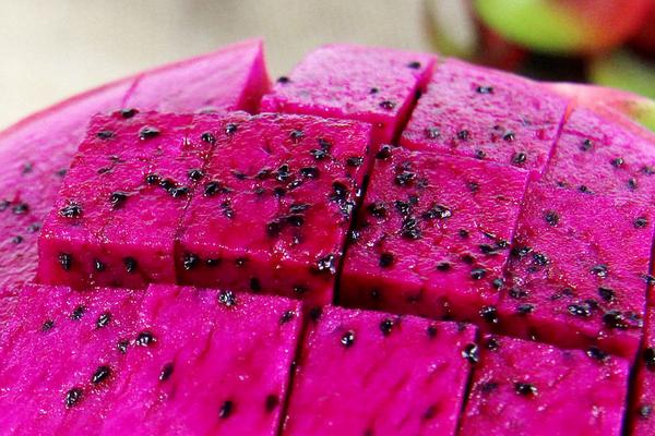 晚上吃火龍果好嗎