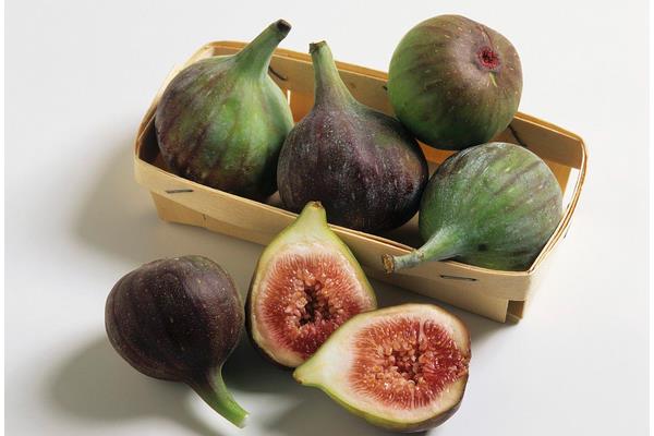 無花果能治痔瘡嗎