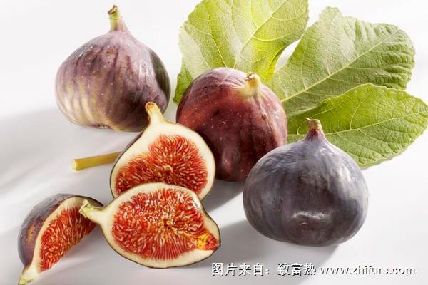 孕婦可以吃無花果嗎