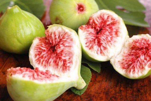 無花果茶的功效與作用