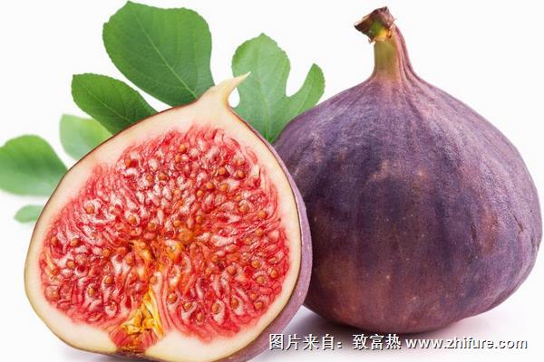 吃無花果有什么好處