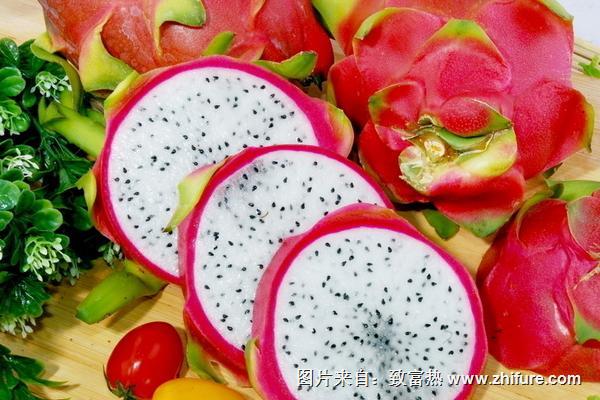 火龍果不能和什么一起吃