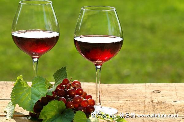 釀葡萄酒用什么葡萄好