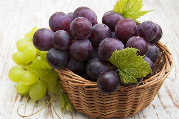 葡萄價格多少錢一斤