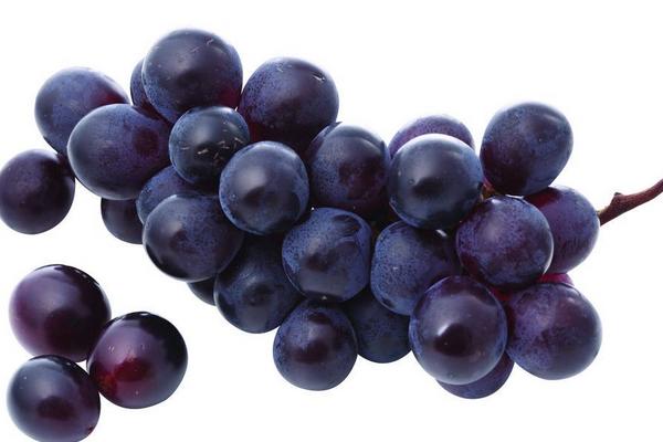 葡萄價格多少錢一斤