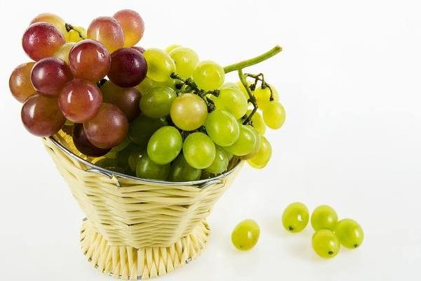 葡萄價格多少錢一斤