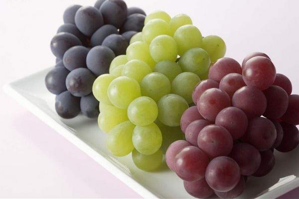 葡萄的功效與作用及禁忌