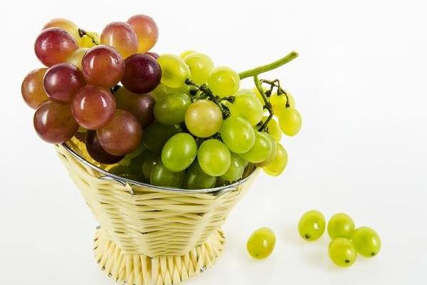葡萄的功效與作用及禁忌