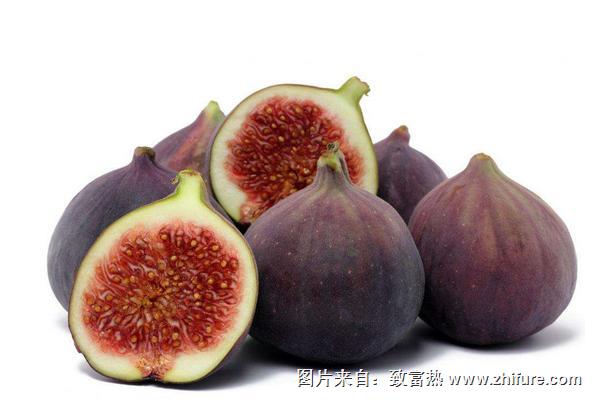 無(wú)花果為什么叫無(wú)花果