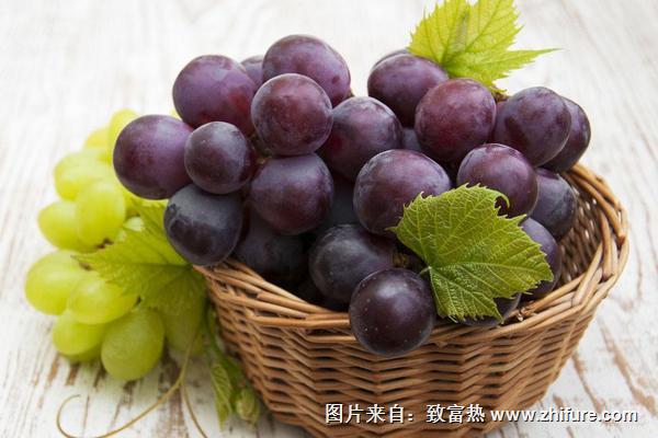 提子和葡萄的區別是什么