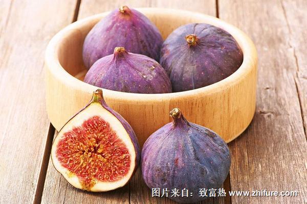 無花果什么時候成熟