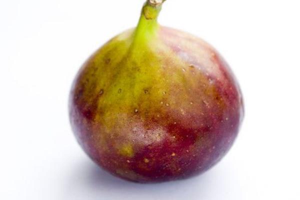 鮮無花果怎么保存