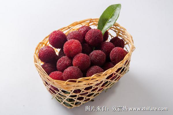 楊梅有哪些品種