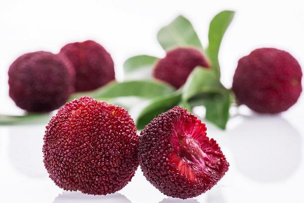 楊梅有哪些品種