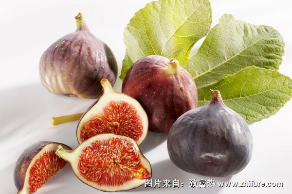 無花果圖片大全