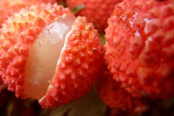 日啖荔枝三百顆全詩語句