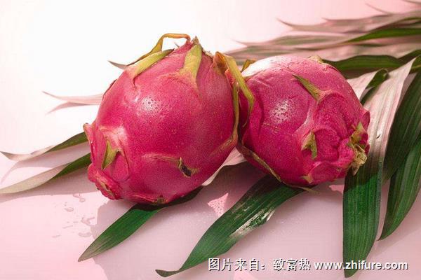 香蕉和火龍果可以一起吃嗎