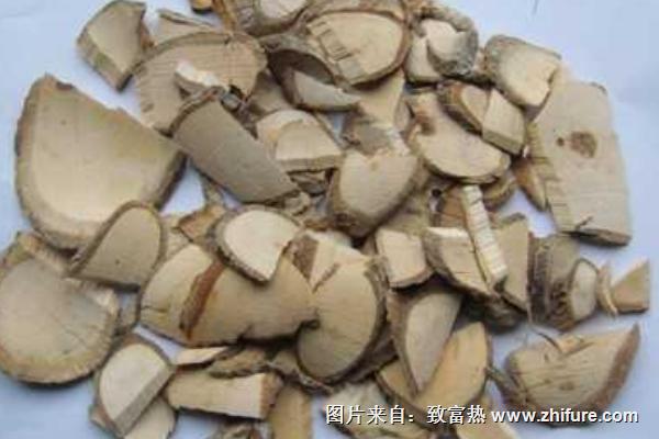 楊梅根的功效與作用及禁忌