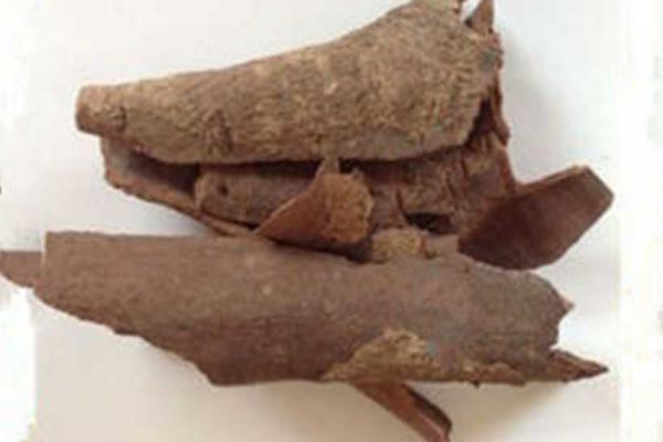 楊梅根的功效與作用及禁忌