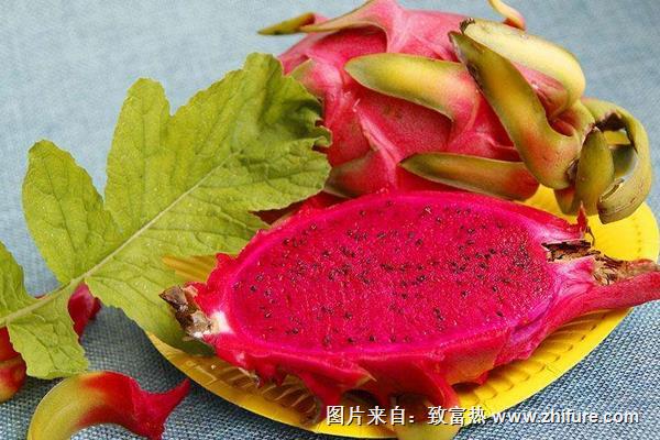 火龍果怎么剝皮