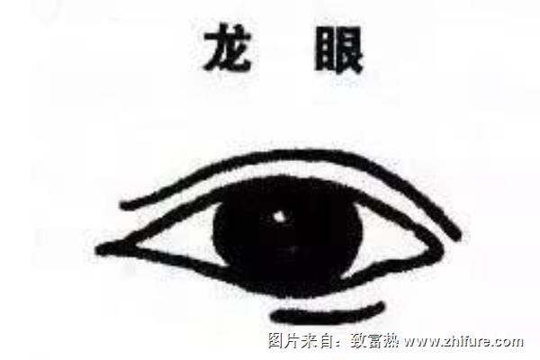 龍眼眼型是什么樣子（圖解）