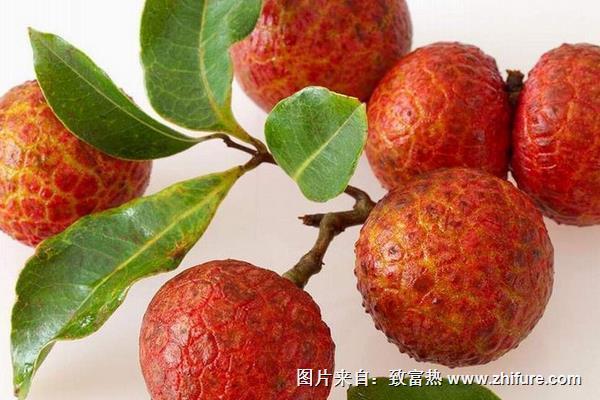 荔枝圖片大全