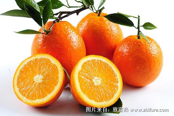 倫晚臍橙價格多少錢一斤