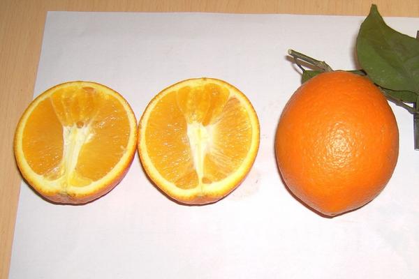 贛南臍橙怎么挑