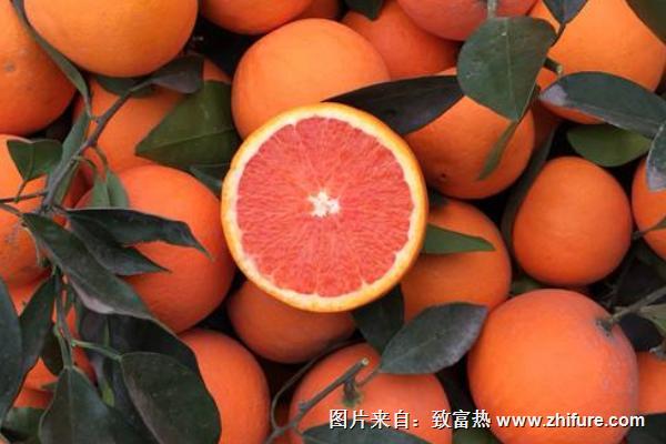 紅肉臍橙價(jià)格多少錢(qián)一斤