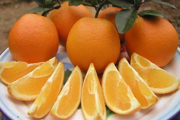 贛南臍橙怎么挑