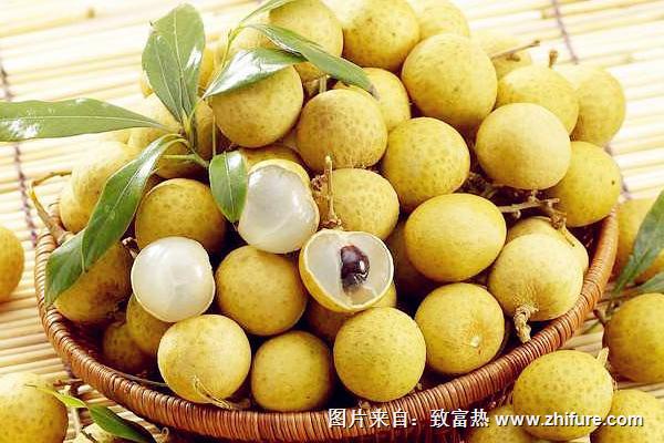 石硤龍眼產(chǎn)地在哪里