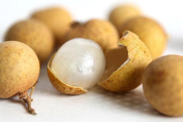 石硤龍眼產地在哪里