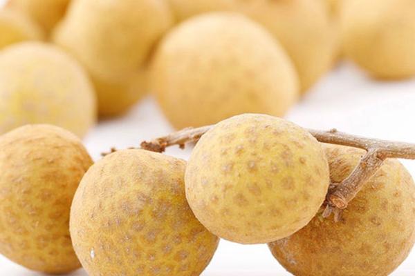 石硤龍眼產地在哪里